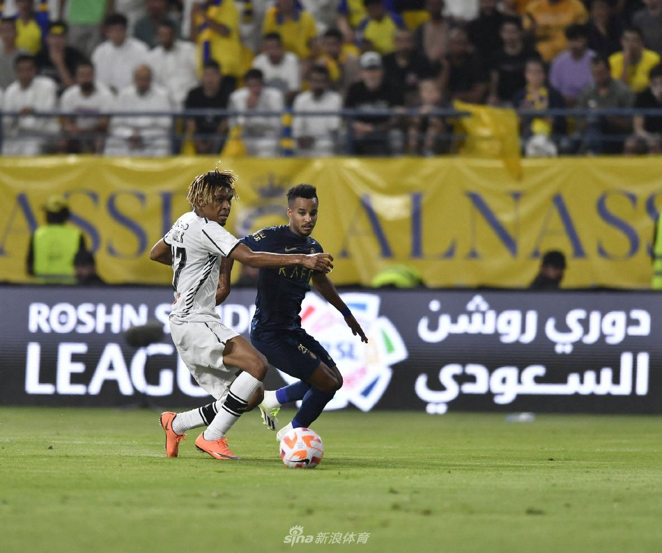 集体运动 集体运动